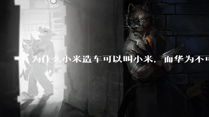 为什么小米造车可以叫小米，而华为不可以用华为品牌造车？