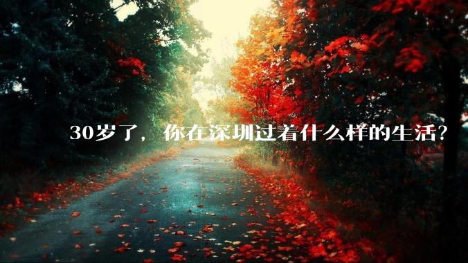 30岁了，你在深圳过着什么样的生活？