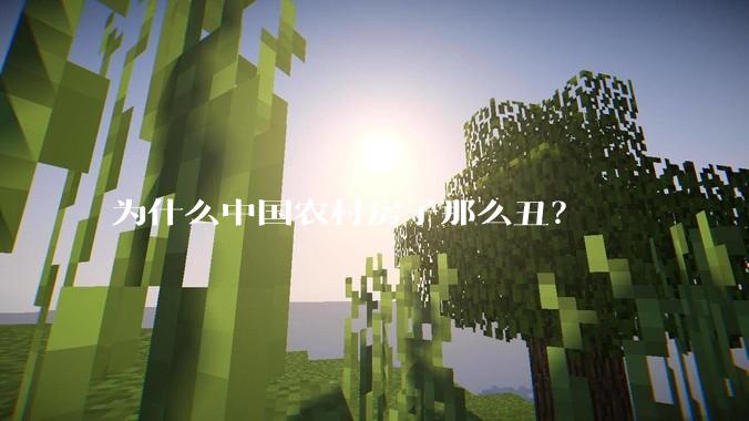 为什么中国农村房子那么丑？