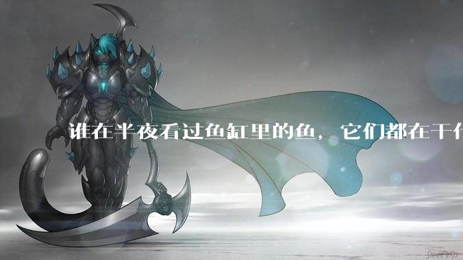 谁在半夜看过鱼缸里的鱼，它们都在干什么？