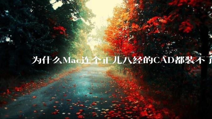为什么Mac连个正儿八经的CAD都装不了还敢打着生产力的旗号？